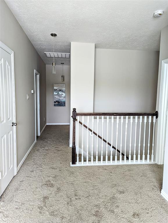 10718 Wall Fern Way, Houston, Texas image 23