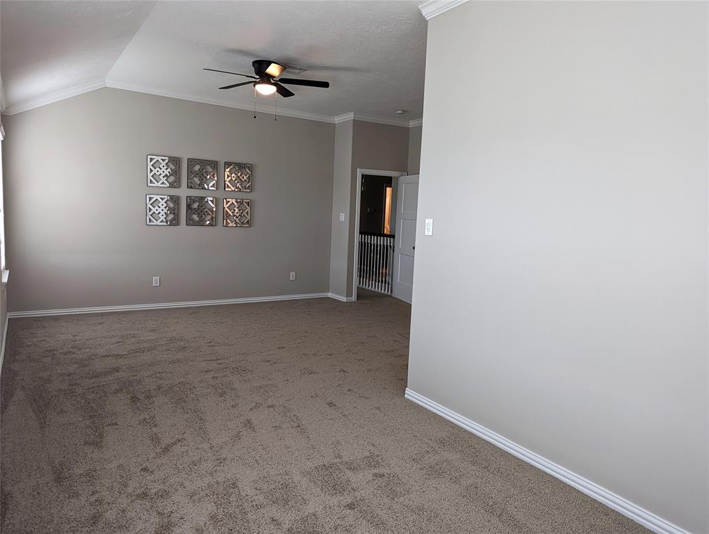 10718 Wall Fern Way, Houston, Texas image 24