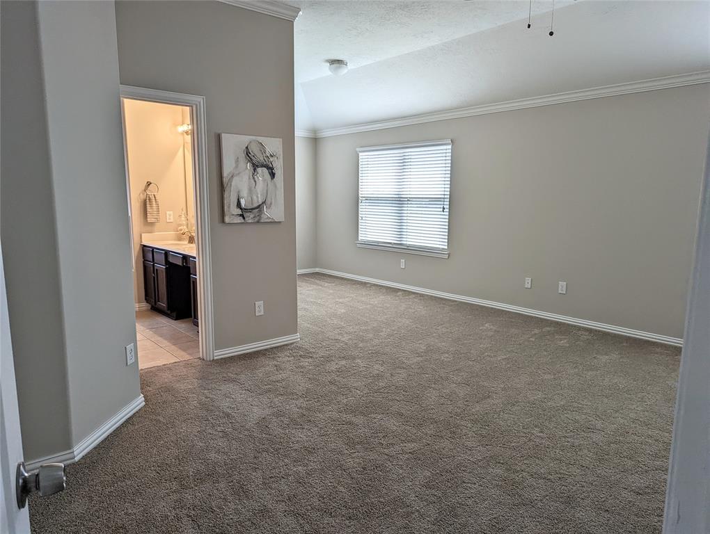 10718 Wall Fern Way, Houston, Texas image 26