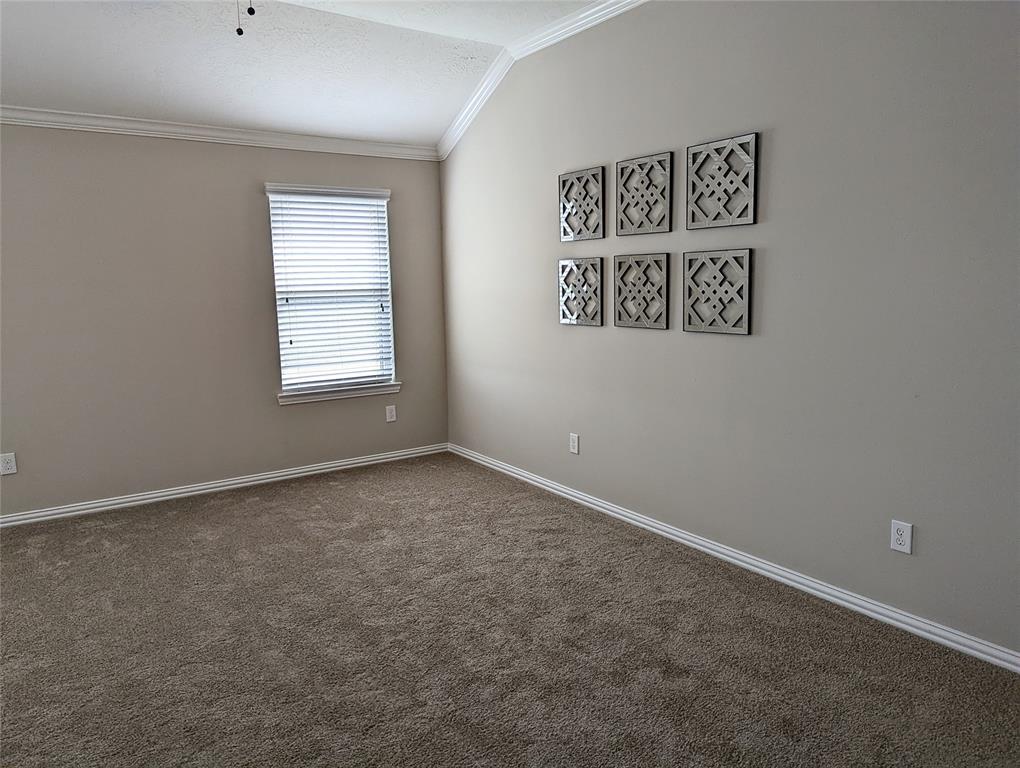 10718 Wall Fern Way, Houston, Texas image 27