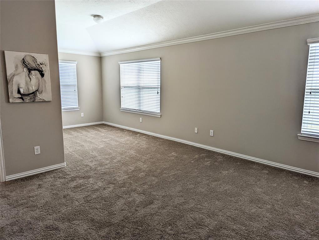 10718 Wall Fern Way, Houston, Texas image 25