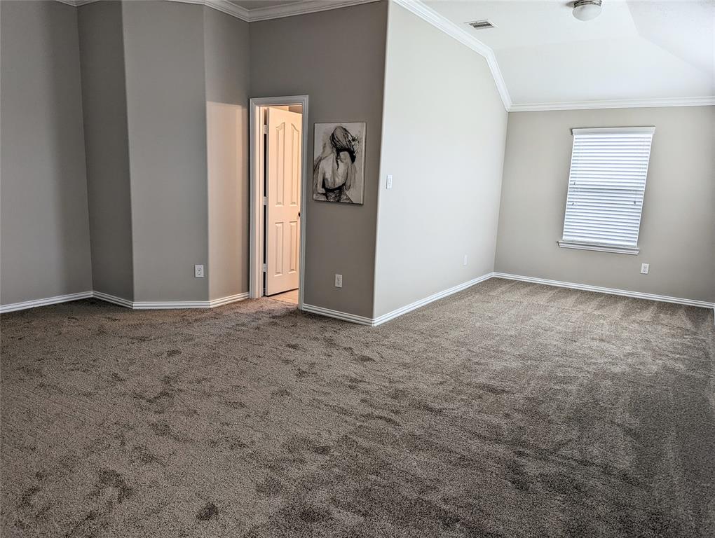 10718 Wall Fern Way, Houston, Texas image 28