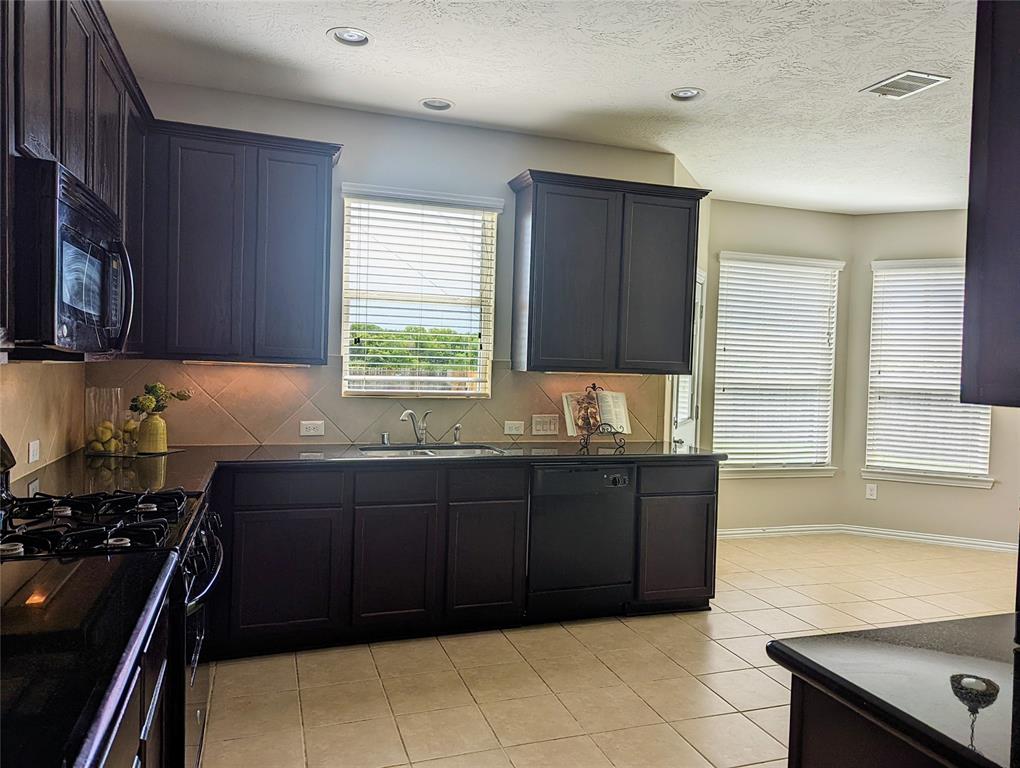10718 Wall Fern Way, Houston, Texas image 13