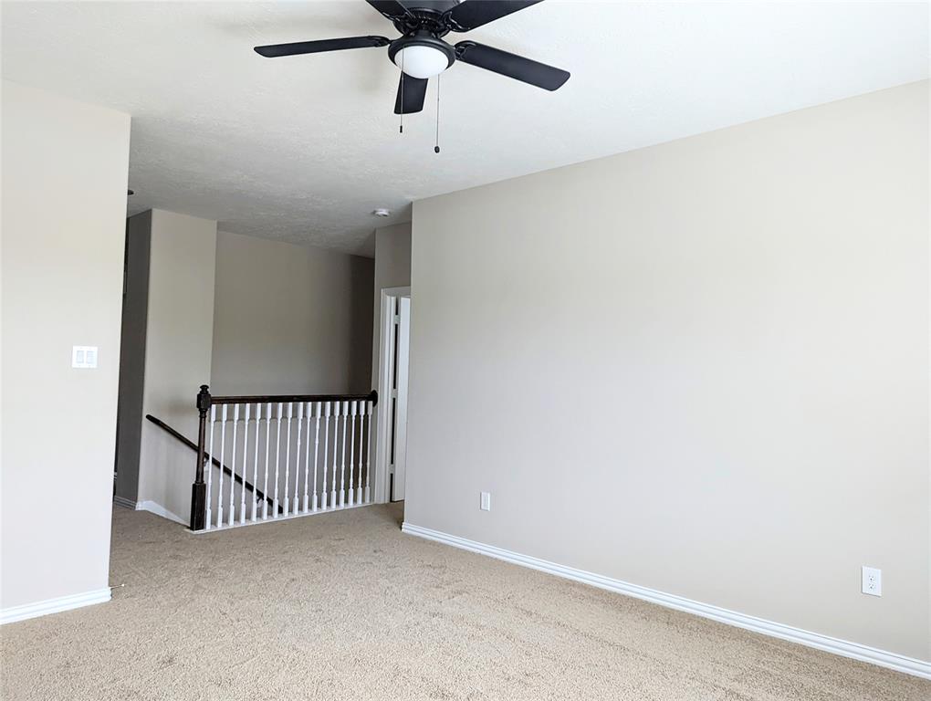 10718 Wall Fern Way, Houston, Texas image 22