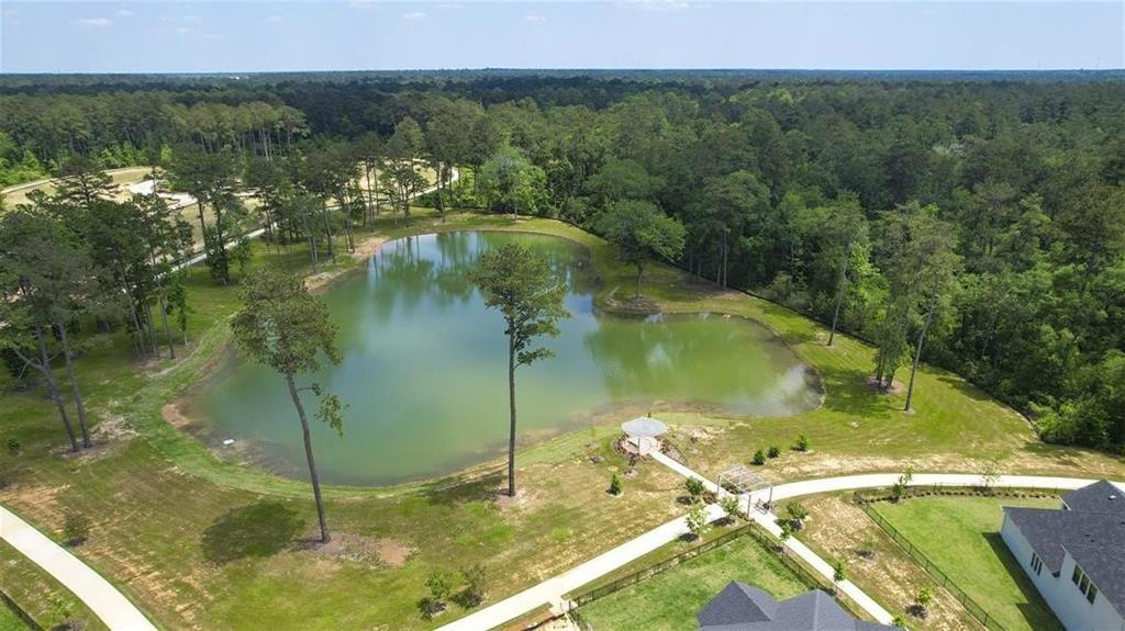 467 Audubons Shearwater Way, Magnolia, Texas image 10