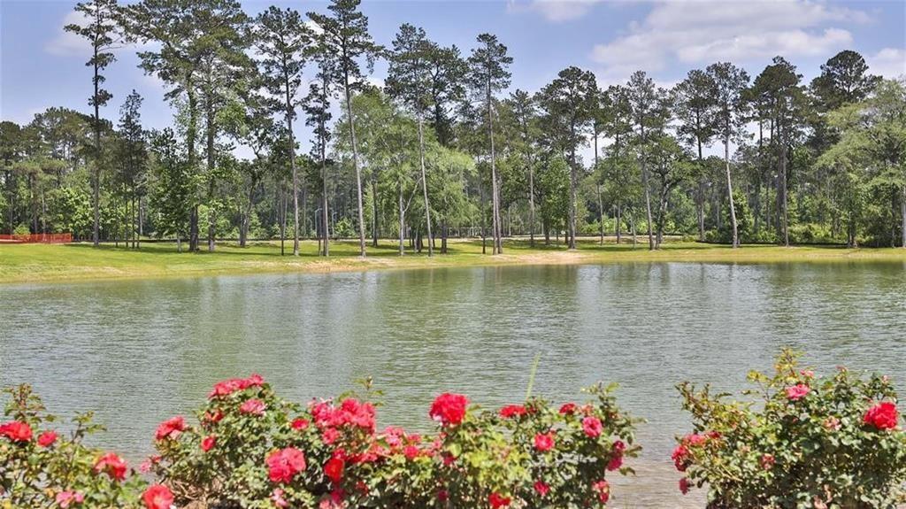 467 Audubons Shearwater Way, Magnolia, Texas image 12