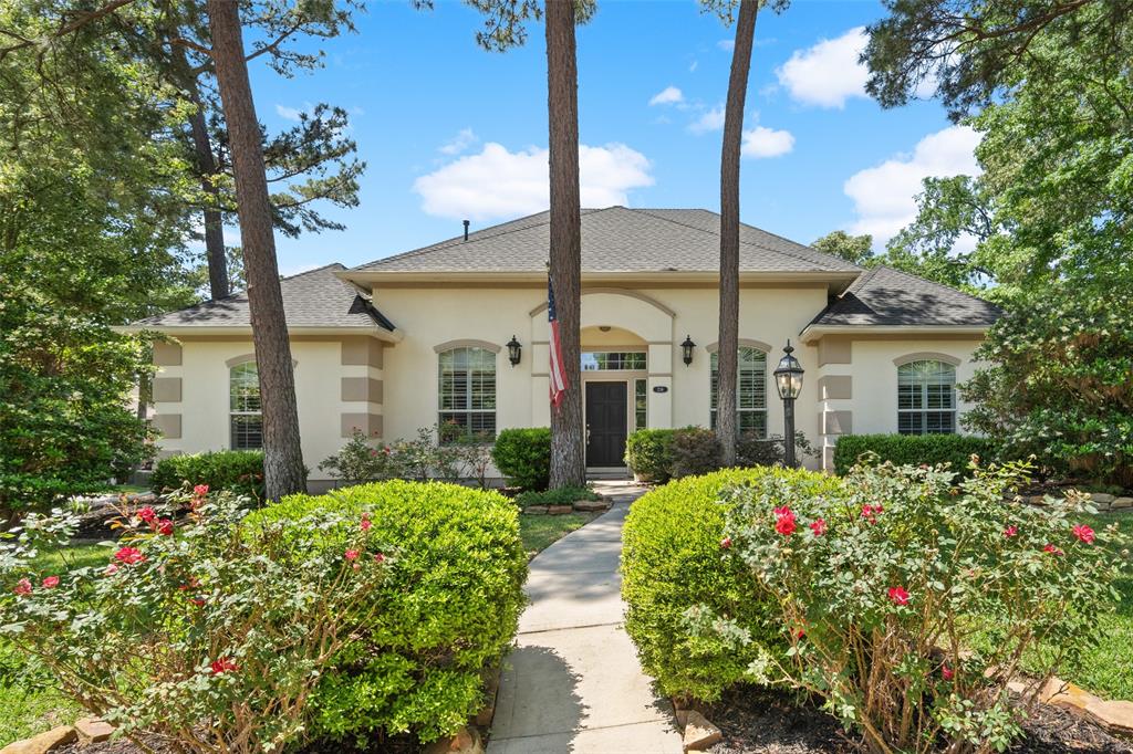 236 Camden Hills Drive, Montgomery, Texas image 1