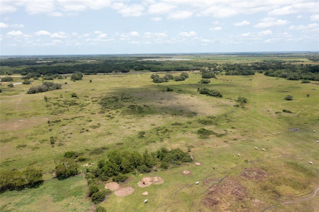 Tx-111, Midfield, Texas image 12
