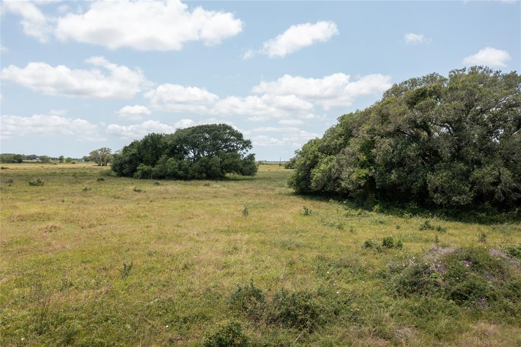 Tx-111, Midfield, Texas image 22