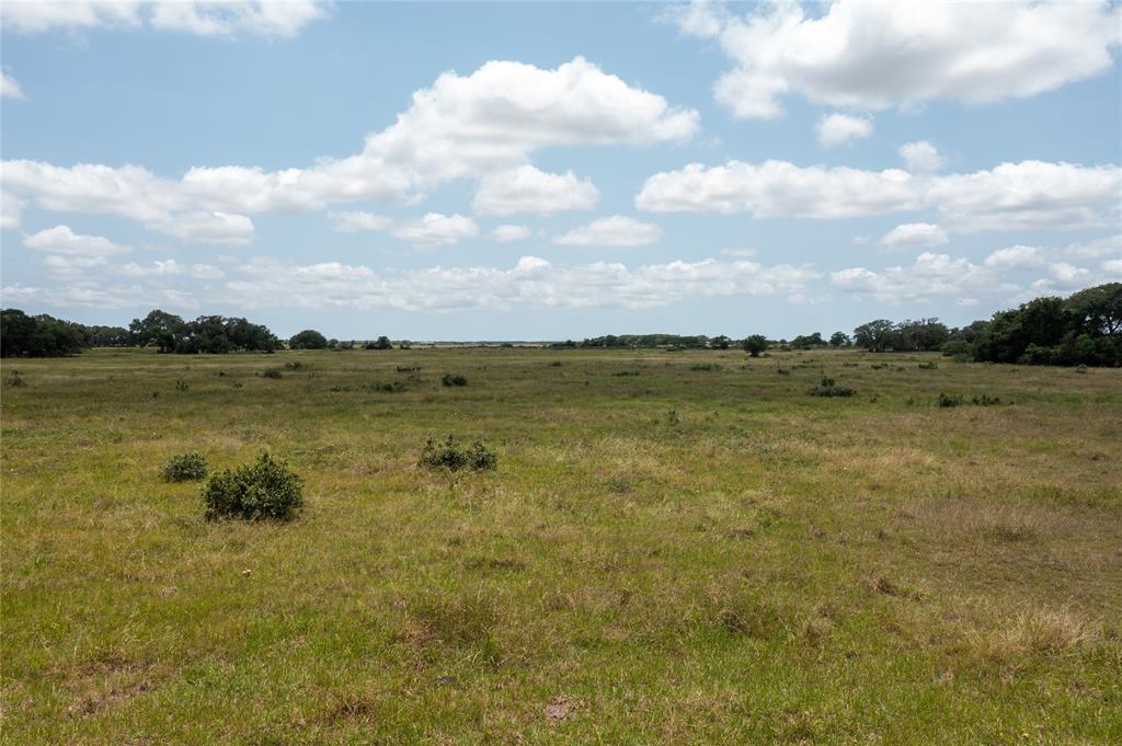 Tx-111, Midfield, Texas image 26