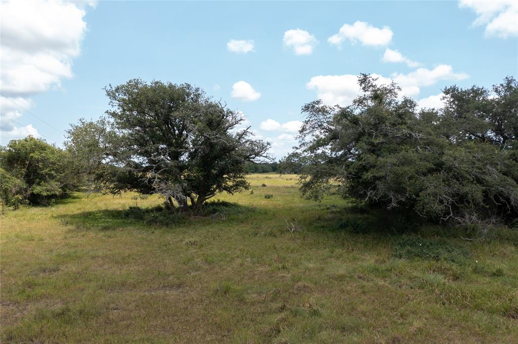 Tx-111, Midfield, Texas image 24