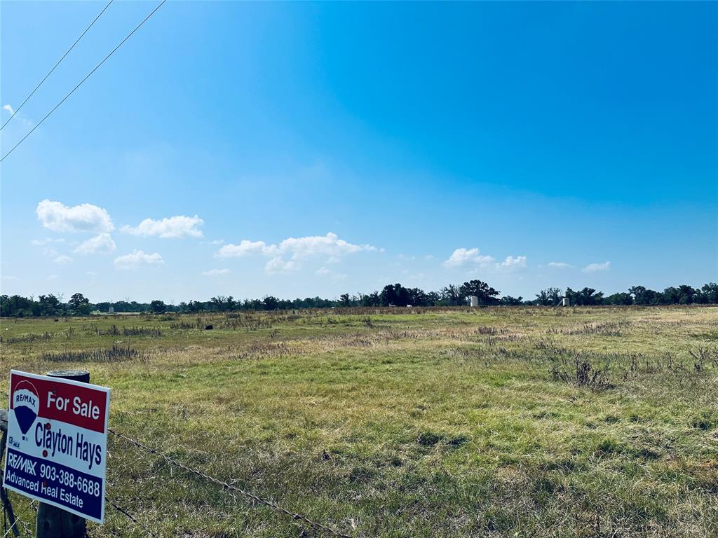 23AC S Hwy 164, Donie, Texas image 3