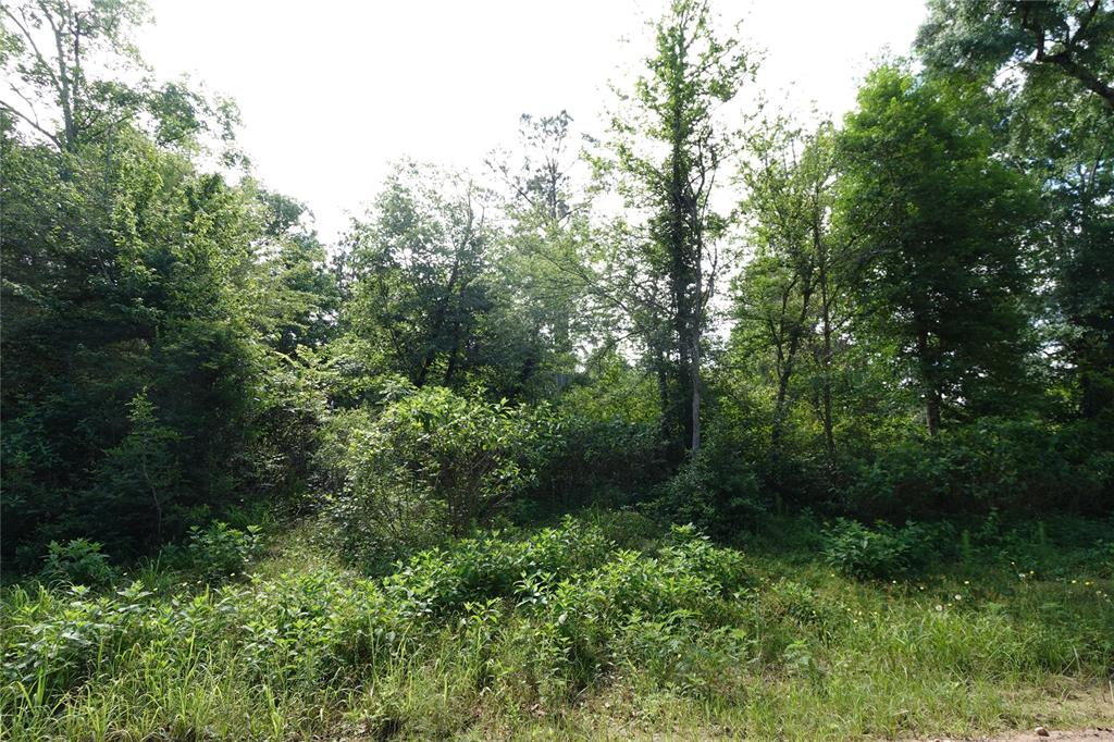 TDB Road 2723 And Road 2734, Cleveland, Texas image 3