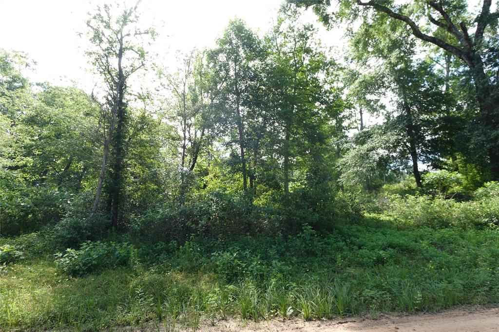 TDB Road 2723 And Road 2734, Cleveland, Texas image 4