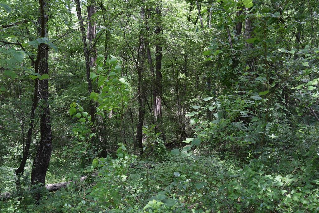 4414 Shady Lane, Huntsville, Texas image 4
