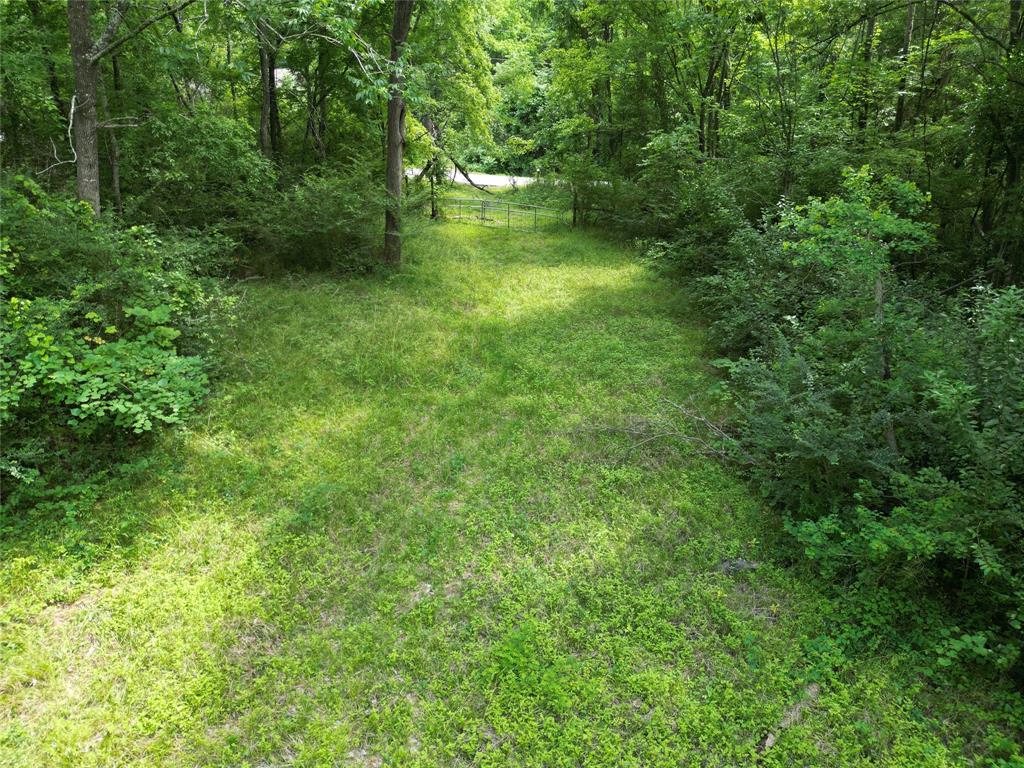 4414 Shady Lane, Huntsville, Texas image 11