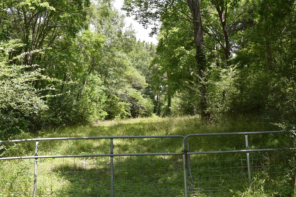 4414 Shady Lane, Huntsville, Texas image 2