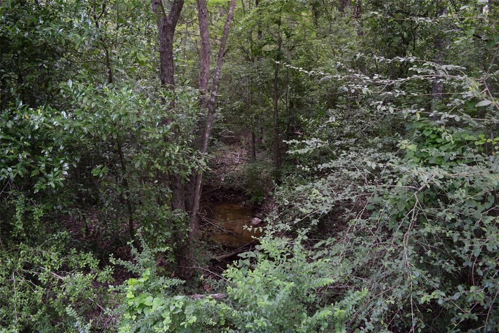 4414 Shady Lane, Huntsville, Texas image 5