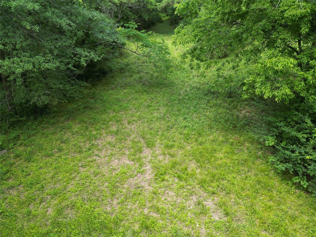 4414 Shady Lane, Huntsville, Texas image 10