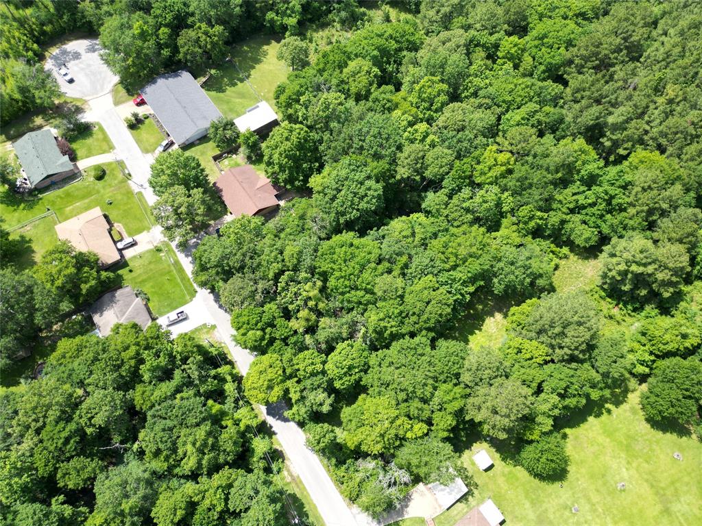 4414 Shady Lane, Huntsville, Texas image 15