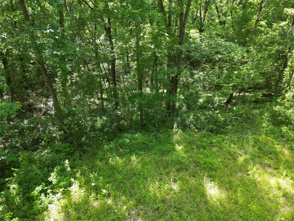 4414 Shady Lane, Huntsville, Texas image 12