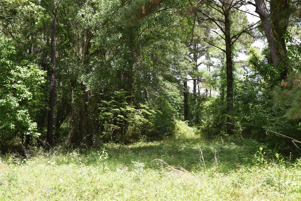 4414 Shady Lane, Huntsville, Texas image 3