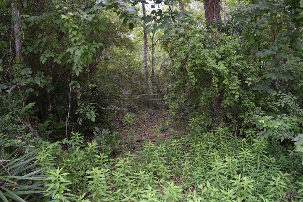4414 Shady Lane, Huntsville, Texas image 6
