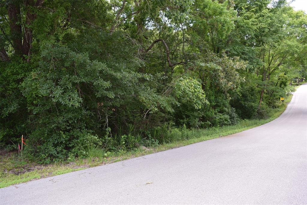 4414 Shady Lane, Huntsville, Texas image 7