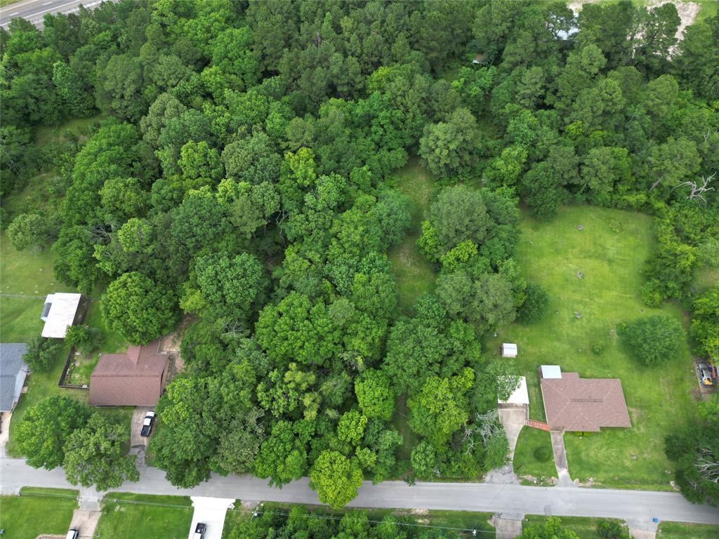 4414 Shady Lane, Huntsville, Texas image 8