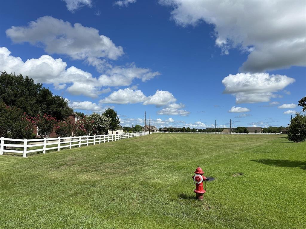 9918 S Bridlewood Court, Richmond, Texas image 4