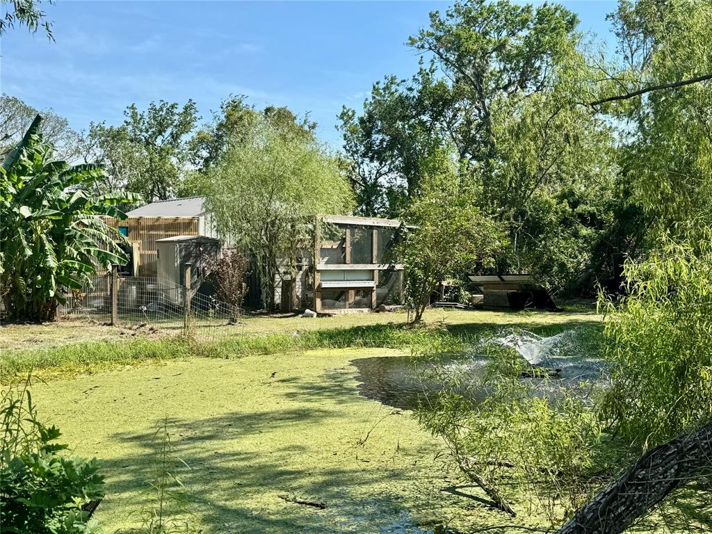 4744 County Road 506, Brazoria, Texas image 32