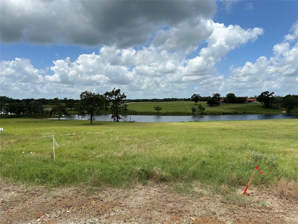 TBD Pr 4173, Marquez, Texas image 10