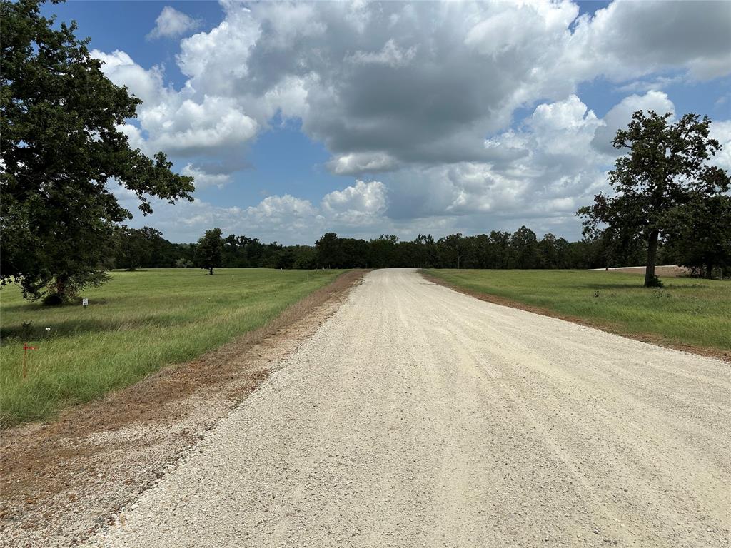 TBD Pr 4173, Marquez, Texas image 3