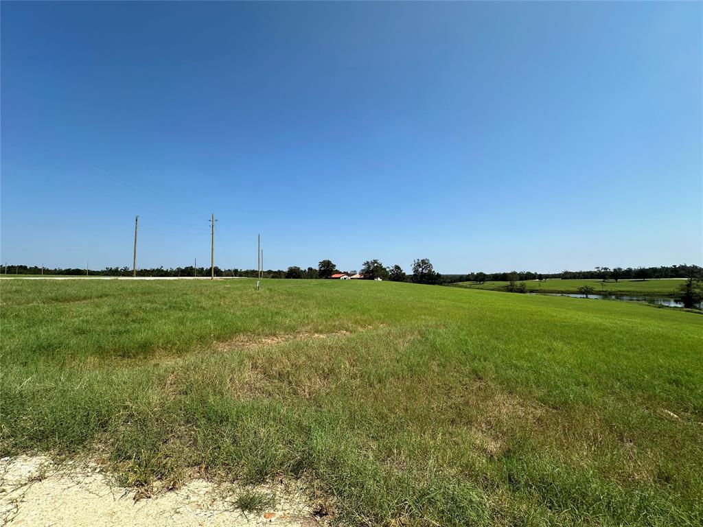 TBD Pr 4173, Marquez, Texas image 19