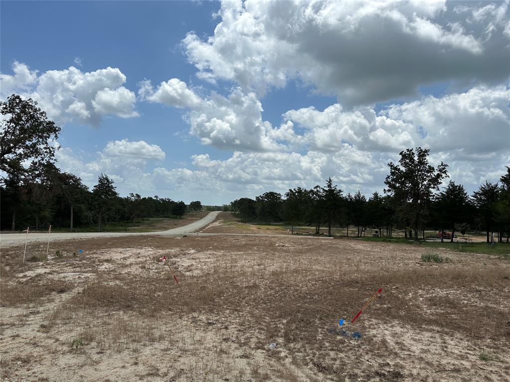 TBD Pr 4173, Marquez, Texas image 7