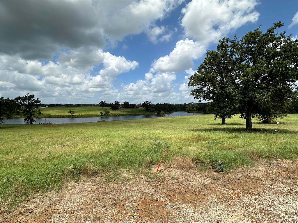 TBD Pr 4173, Marquez, Texas image 9