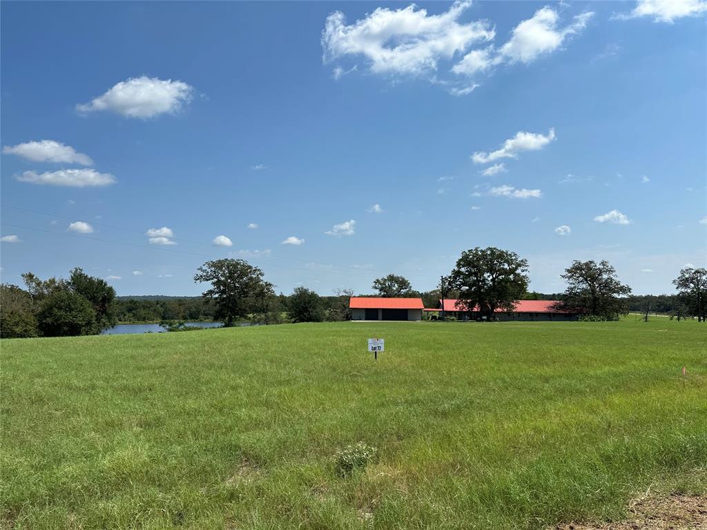 TBD Pr 4173, Marquez, Texas image 29