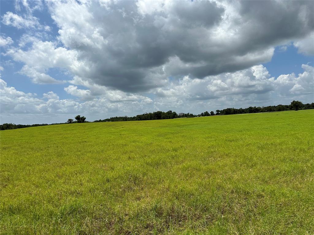 TBD Pr 4173, Marquez, Texas image 8