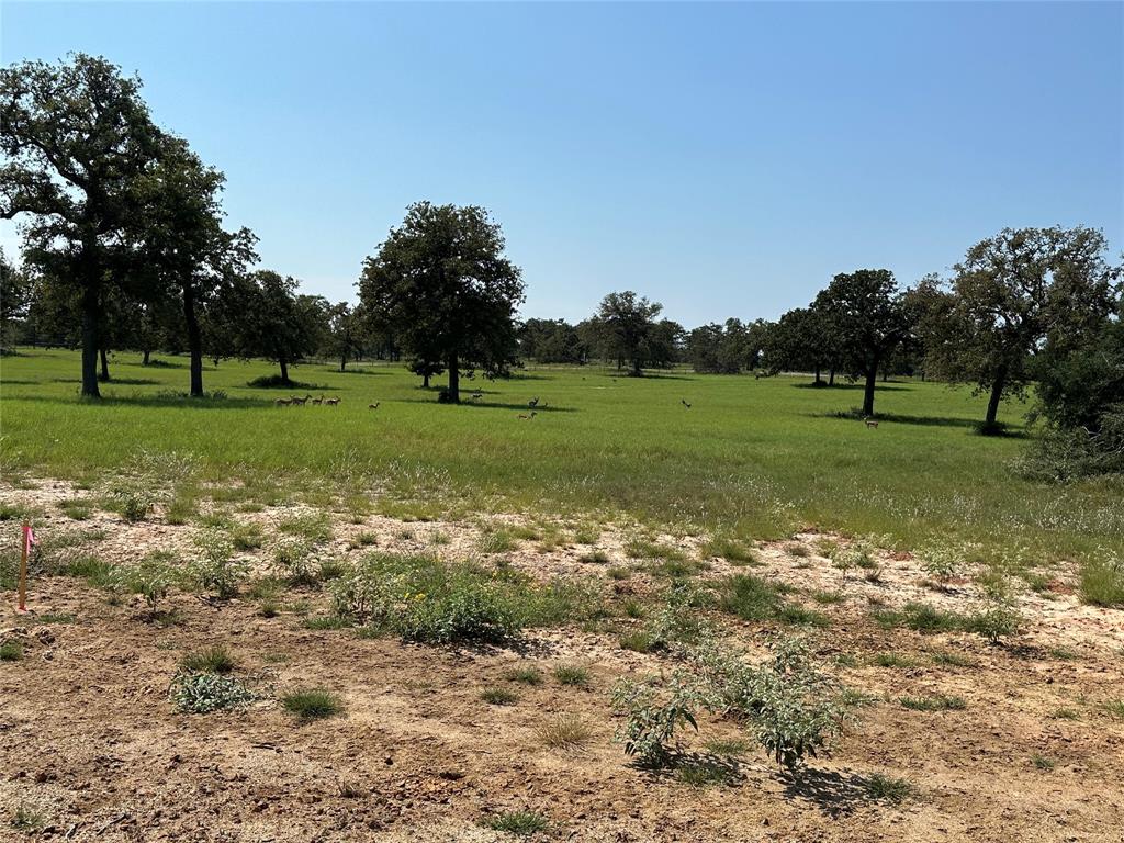 TBD Pr 4173, Marquez, Texas image 17