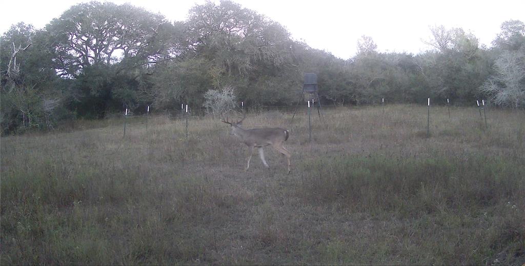 00 Dewberry Lane, Louise, Texas image 27