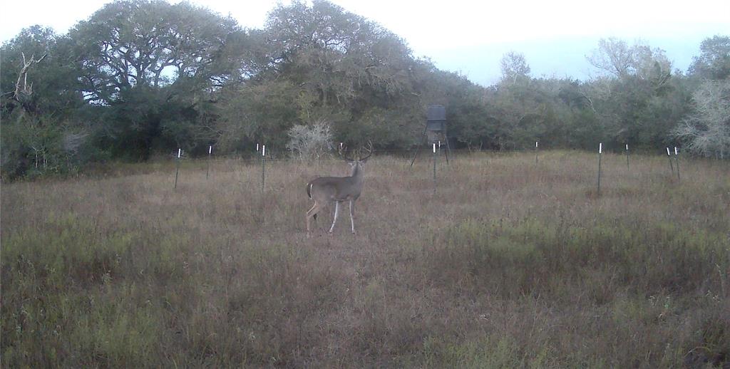 00 Dewberry Lane, Louise, Texas image 19