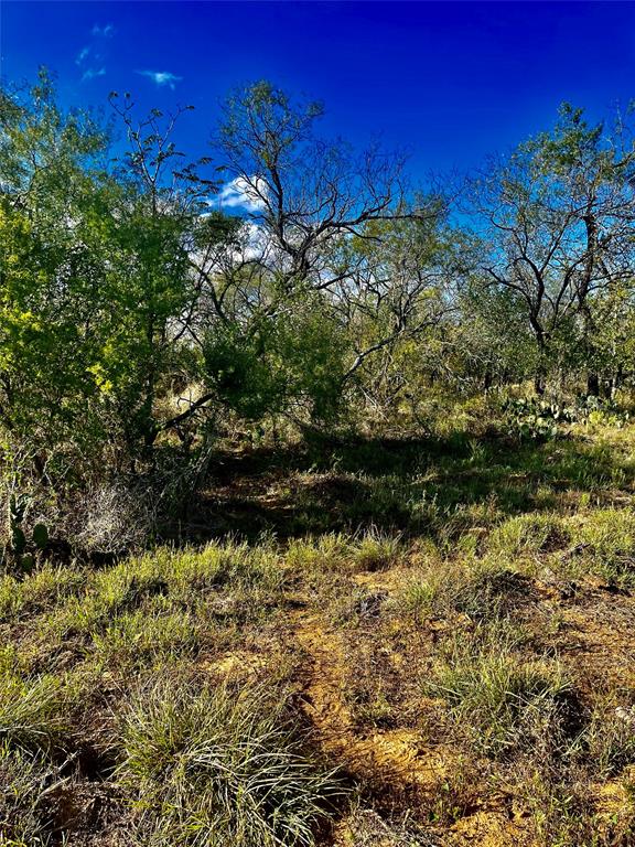 1003 Rawhide Road, Seguin, Texas image 13