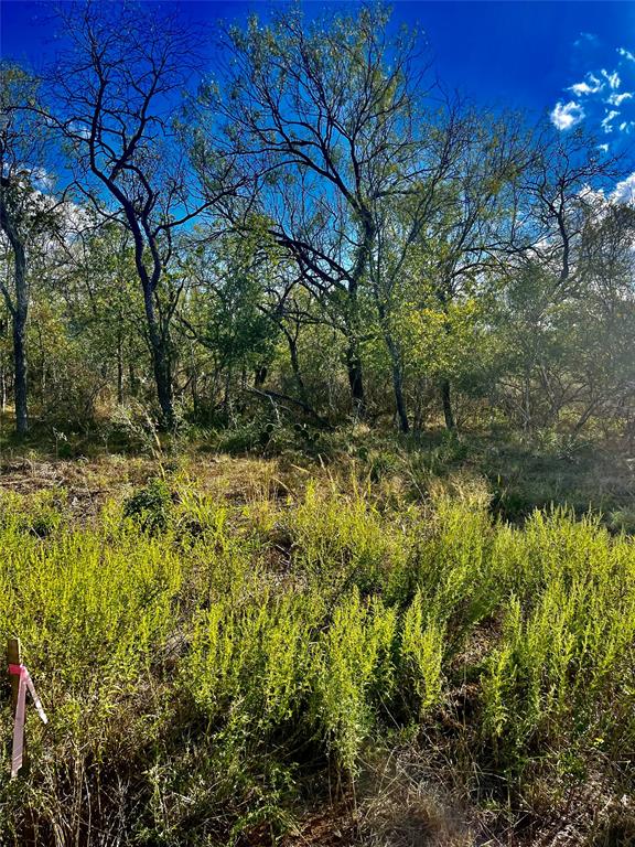 1003 Rawhide Road, Seguin, Texas image 3