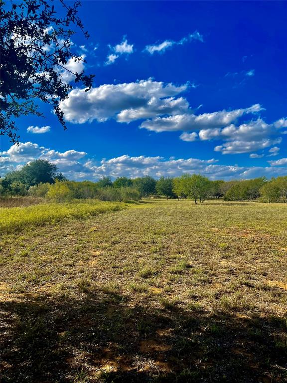 1003 Rawhide Road, Seguin, Texas image 7