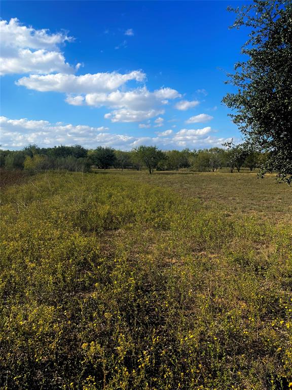 1003 Rawhide Road, Seguin, Texas image 8