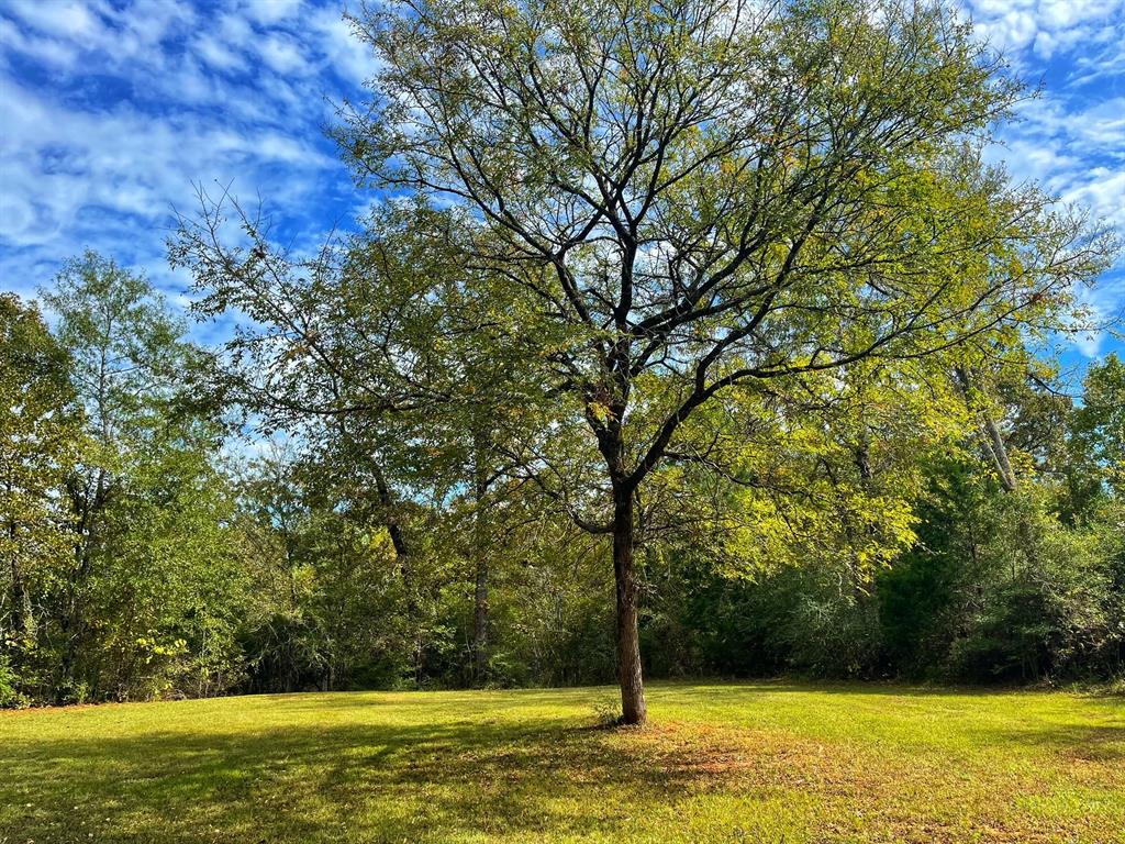 10402 Fm 542, Oakwood, Texas image 33