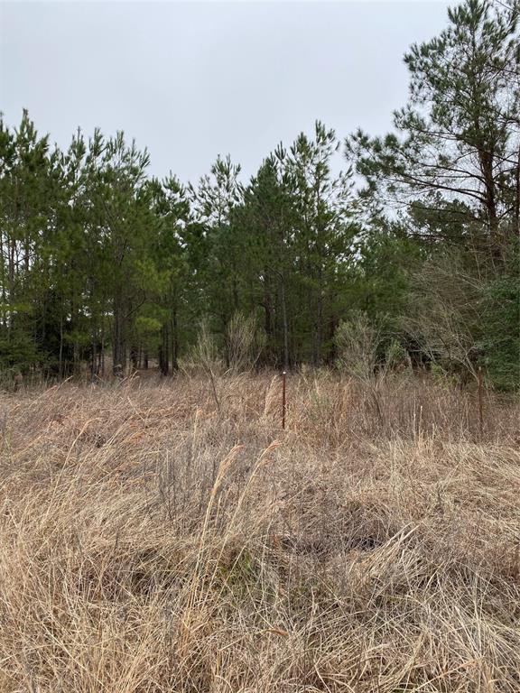 TBD Parcel 6250, Lovelady, Texas image 8