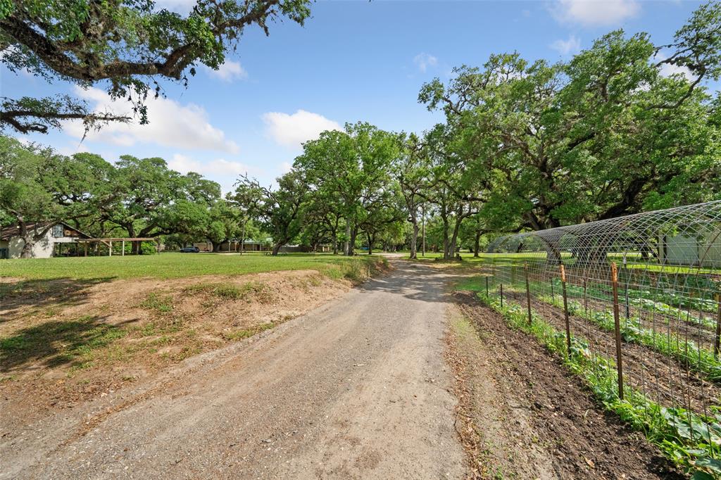 52 Sandy Creek Drive, Van Vleck, Texas image 10