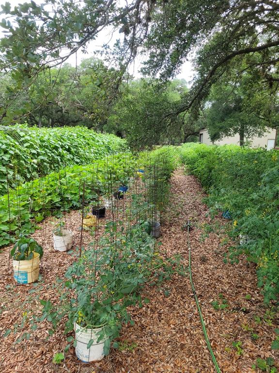 52 Sandy Creek Drive, Van Vleck, Texas image 12