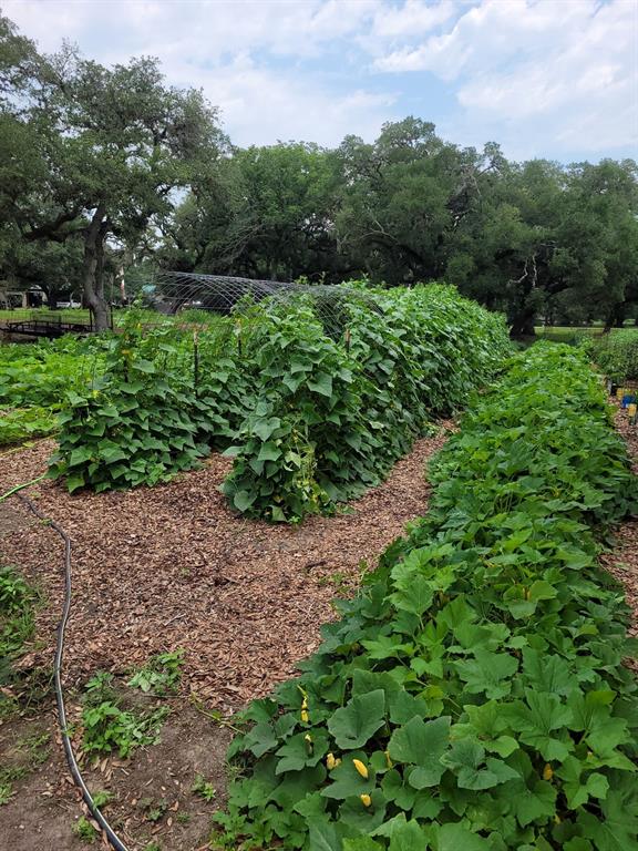 52 Sandy Creek Drive, Van Vleck, Texas image 11